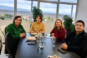 Analizan incorporar puntaje docente para profesores asesores en la FNE