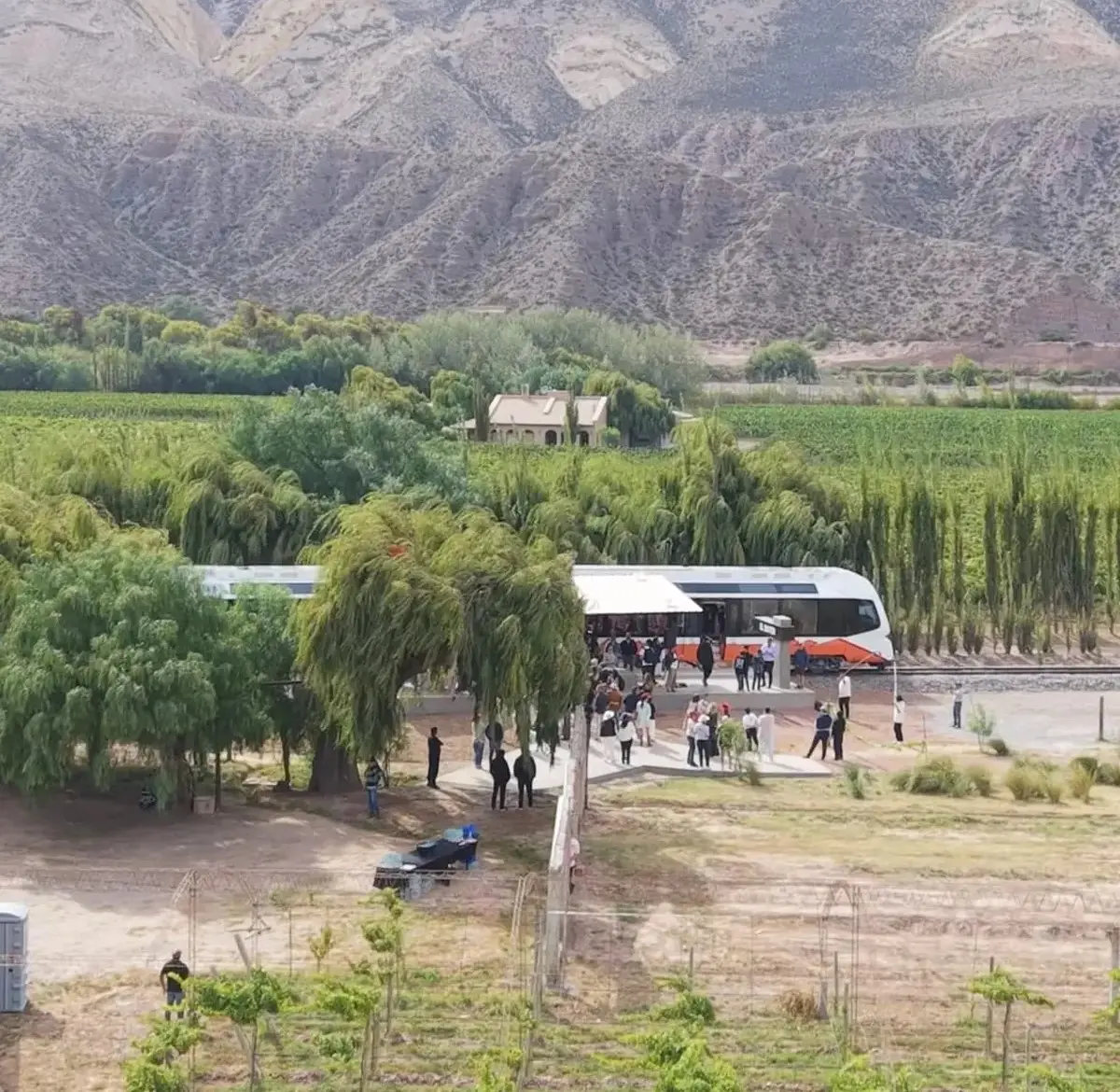 El Tren del Vino: llega una nueva nueva experiencia del Tren Solar de la Quebrada