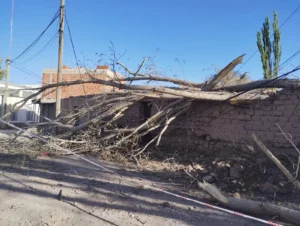 Sin luz por caída de árboles en la Quebrada