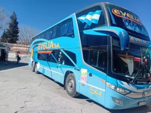 El 31 de agosto, la empresa Evelia celebró 28 años de trayectoria y anunció nuevas inversiones
